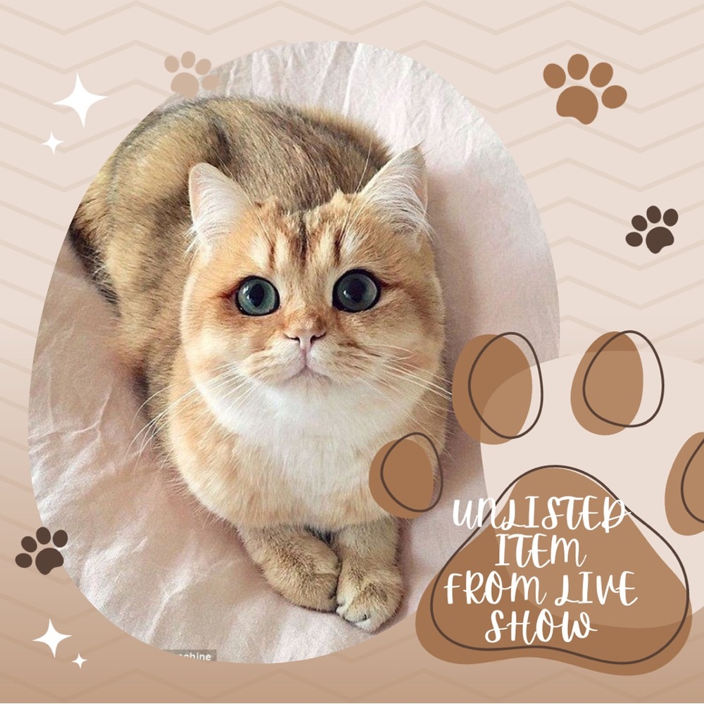 Miscellaneous Unlisted Item